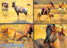 WWF, Topi Antelope 4v [:::] or [+]