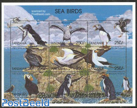 Sea birds 9v m/s, Alca torda
