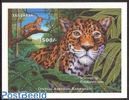 Jaguar s/s, Central American rainforest