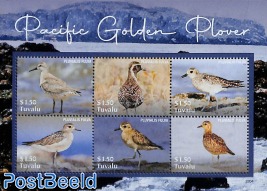 Pacific Golden Plover 6v m/s