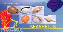 Seashells 6v m/s
