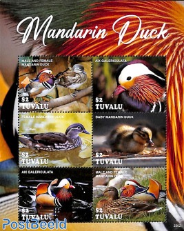 Mandarin Duck 6v m/s