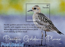 Pacific Golden Plover s/s