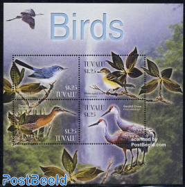 Birds 4v m/s, Blue-gray Gnatcatcher