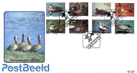 Ducks & Gooses 4x2v