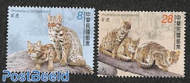 Leopard cat 2v