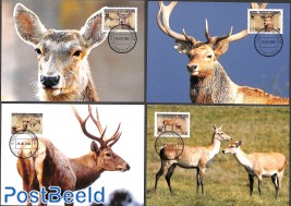 WWF, Deers 4v