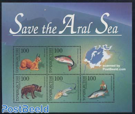Save the Aral sea s/s