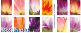 Tulip Blossoms 2x10v s-a in double sided booklet
