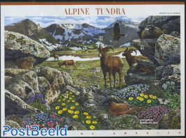 Alpine Tundra 10v m/s s-a