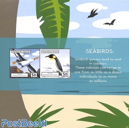 Canouan, Seabirds 2v m/s