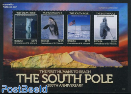 South pole expedition 4v m/s