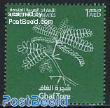 Ghaf tree 1v