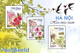Flower season in Hanoi s/s