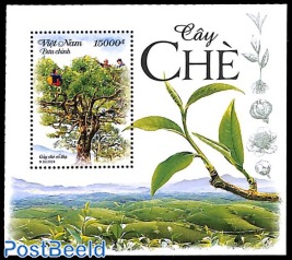 Tea plant s/s