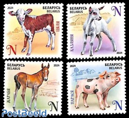 Young domestic animals 4v