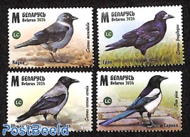 Birds 4v