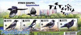 Birds s/s
