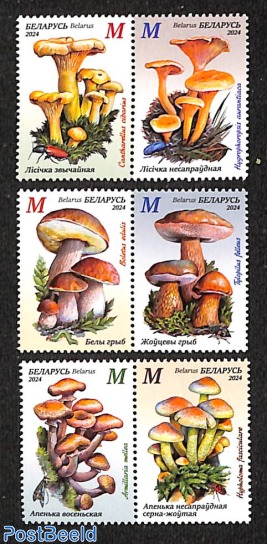 Mushrooms 6v (3x[:])