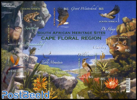 Cape Floral region 10v m/s