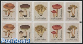 Mushrooms foil booklet