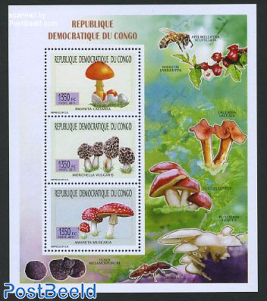 Mushrooms 3v m/s