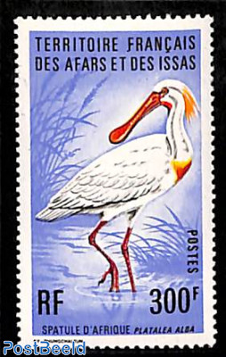 Bird 1v