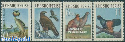 Birds 4v