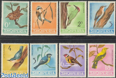 Birds 8v