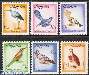 Migrating birds 6v