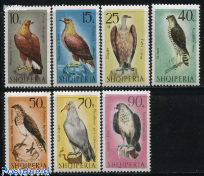 Birds of prey 7v