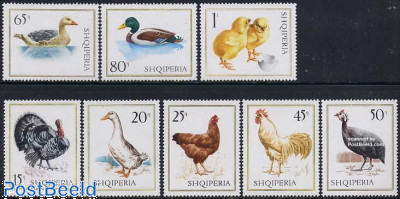 Poultry 8v