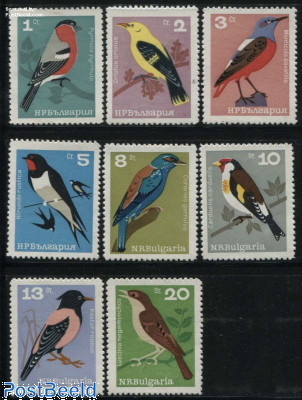 Birds 8v