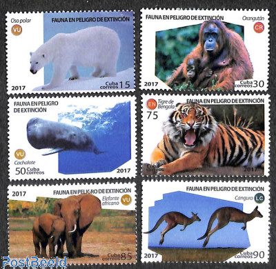 Wild mammals 6v