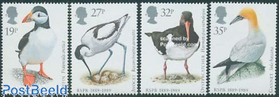 Birds 4v