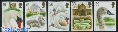 Swans 5v