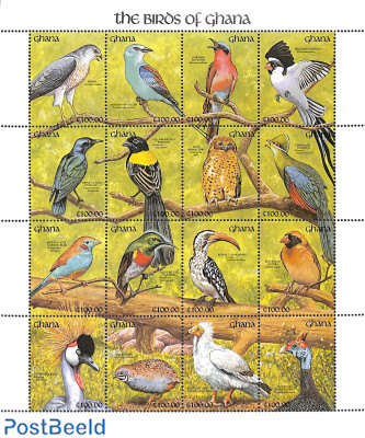 Birds 16v m/s