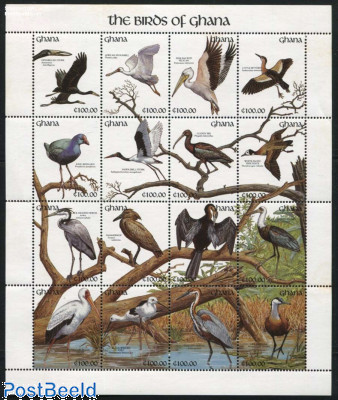 Birds 16v m/s