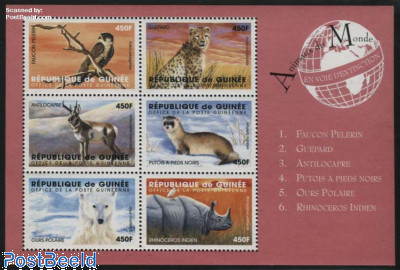 Animals 6v m/s