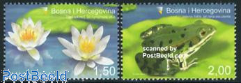 Frog & water flowers 2v
