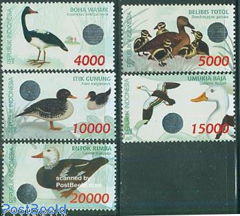 Ducks, holograms 5v