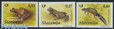 Frogs 3v
