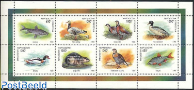 Animals 8v m/s