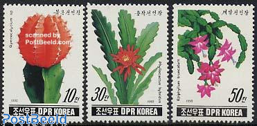 Cactus flowers 3v