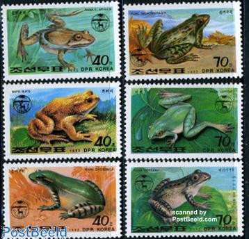 Frogs 6v