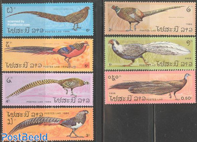 Birds 7v