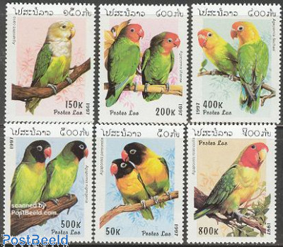 Parrots 6v