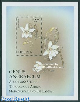 Angraecum compactum s/s