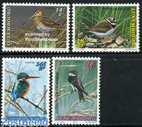 Birds 4v
