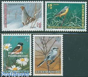 Birds 4v